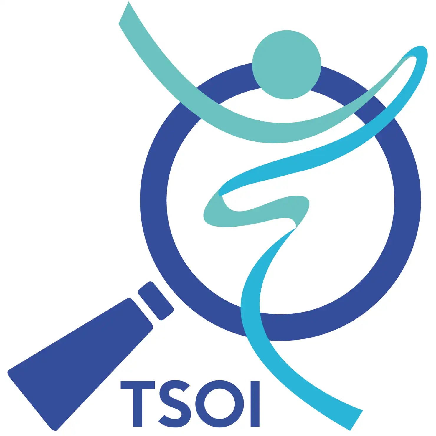 Talent Support and Opportunities Inc